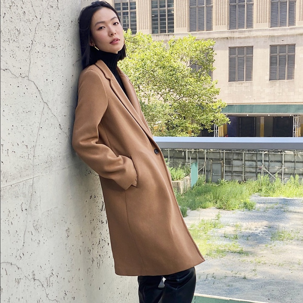 Aritzia Babaton The Stedman Coat in Savile